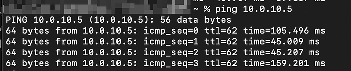 Ping auf Client hinter der UDM Pro