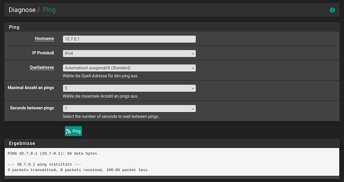 Screenshot 2026-02-03 at 17-59-11 gate.kurek.su - Diagnose Ping