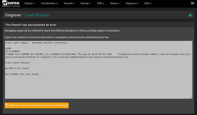 Screenshot 2026-02-03 at 19-26-56 gate.kurek.su - Diagnose Crash Reporter