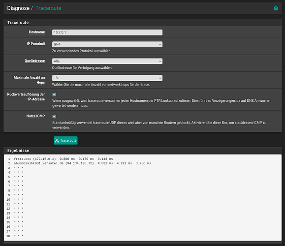 Screenshot 2026-02-03 at 19-10-05 gate.kurek.su - Diagnose Traceroute