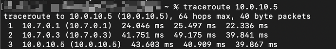 traceroute auf Client hinter der UDM Pro
