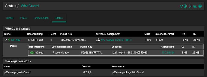 Screenshot 2026-02-03 at 17-49-53 gate.kurek.su - Status WireGuard